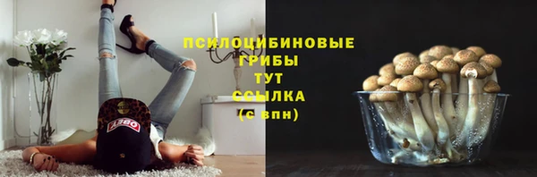 не бодяженный Армянск
